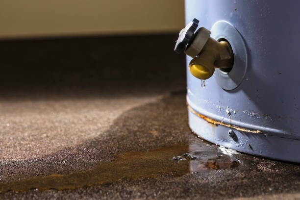 Best Emergency water damage restoration  in Willards, MD