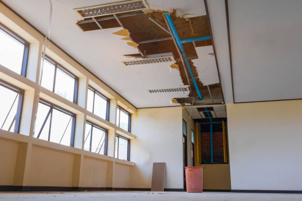 Best Water damage restoration near me  in Willards, MD