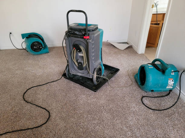 Water damage restoration experts in Willards, MD