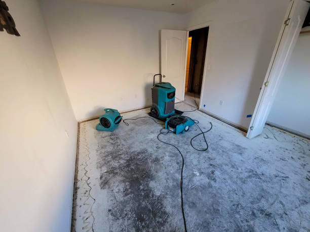 Best 24/7 water damage repair  in Willards, MD