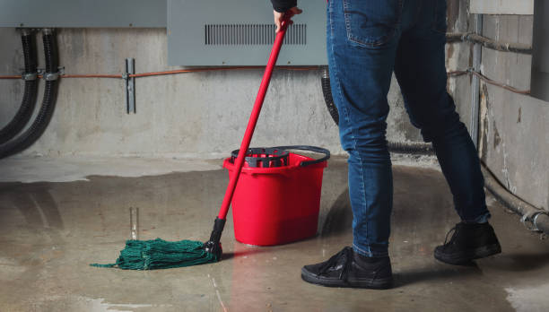 Best Water damage restoration insurance claims  in Willards, MD