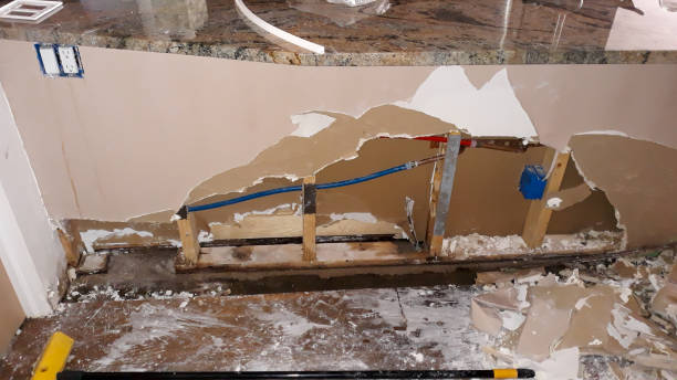 Best Flooded house restoration  in Willards, MD