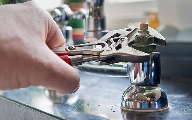 Best Flood damage cleanup  in Willards, MD