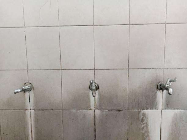 Water damage restoration experts in Willards, MD