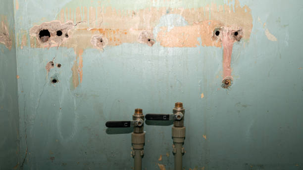Best Emergency water extraction  in Willards, MD