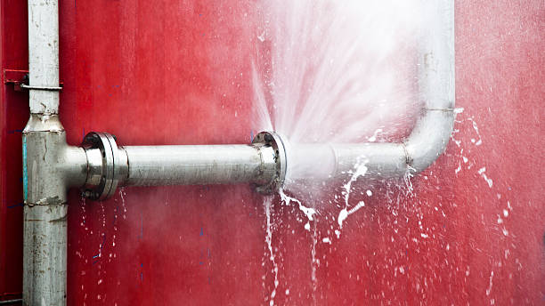 Best Water damage contractors near me  in Willards, MD
